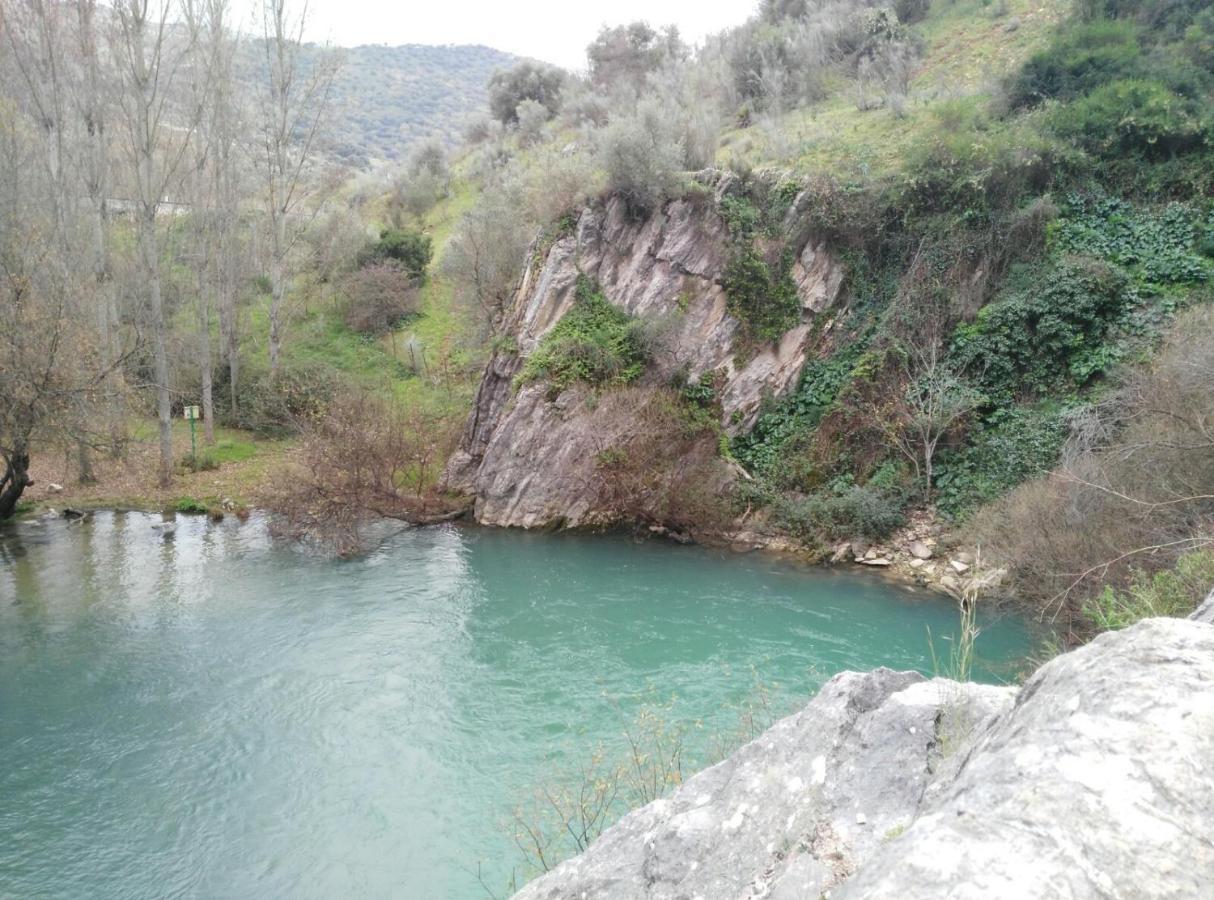 Casa Rural Las Rosas De Benaoján Eksteriør billede
