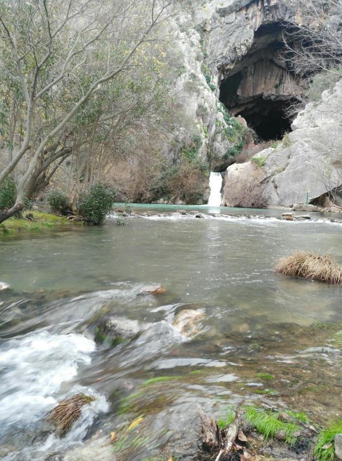 Casa Rural Las Rosas De Benaoján Eksteriør billede