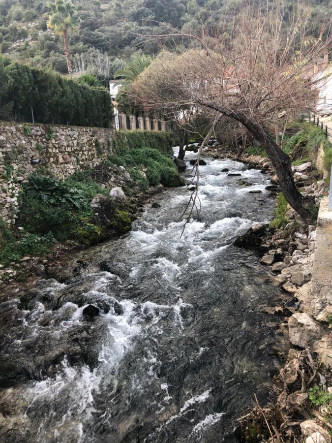 Casa Rural Las Rosas De Benaoján Eksteriør billede