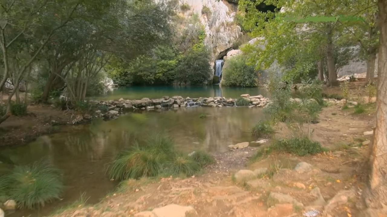 Casa Rural Las Rosas De Benaoján Eksteriør billede